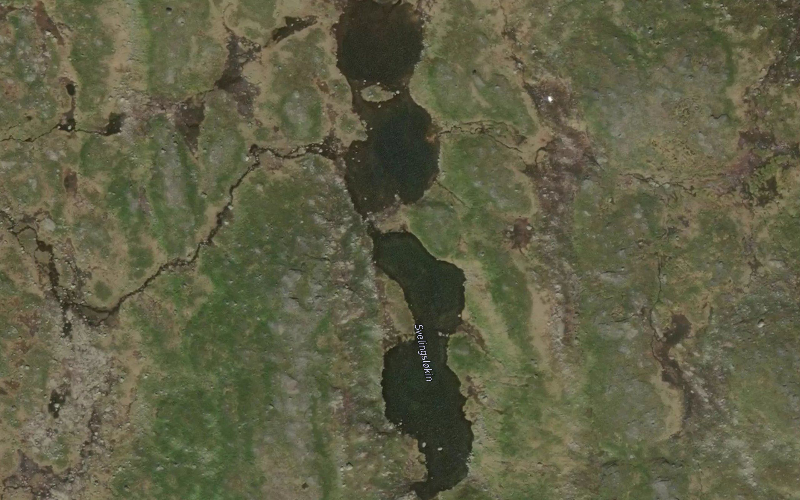 Svelingslokin