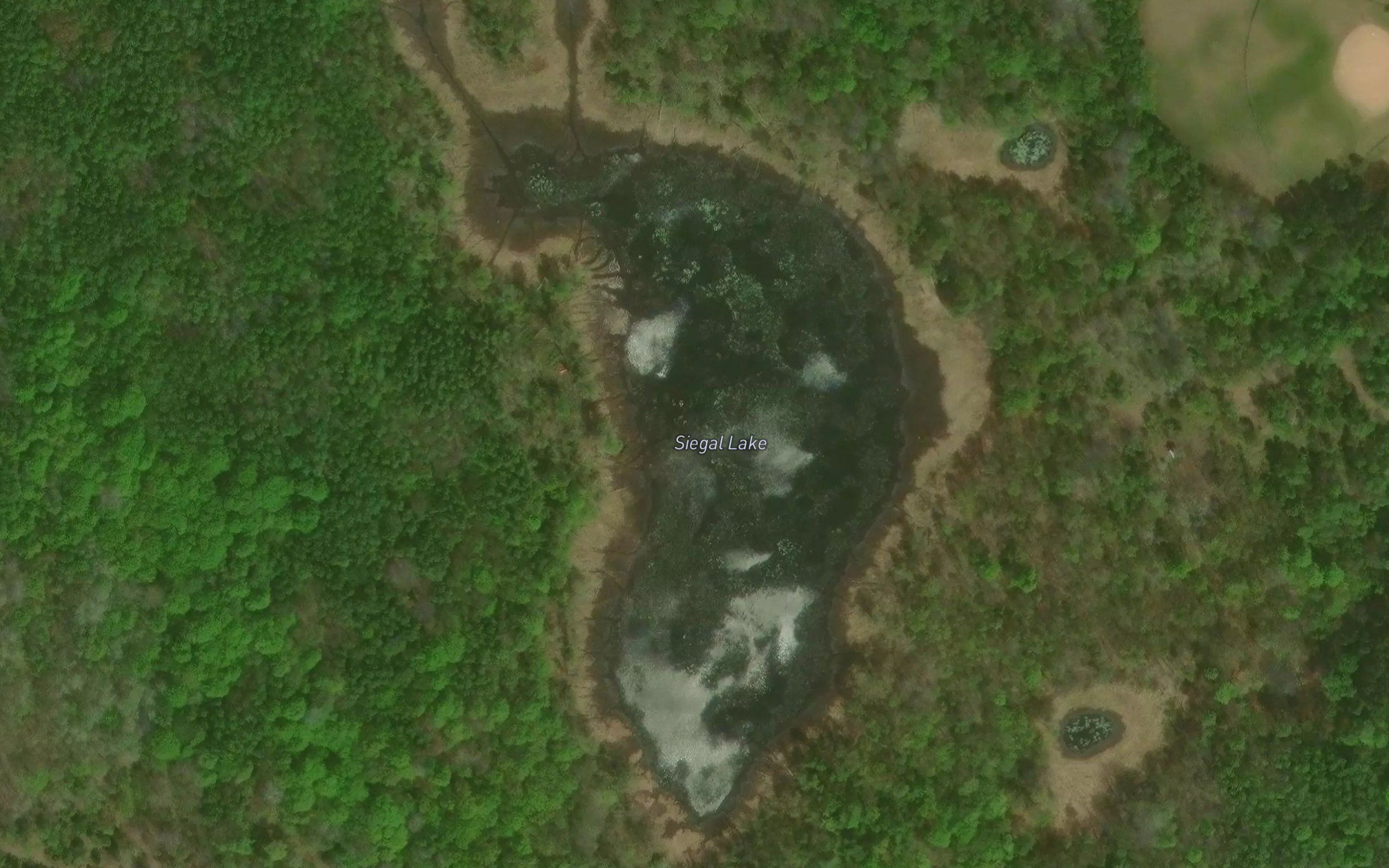 Siegal Lake