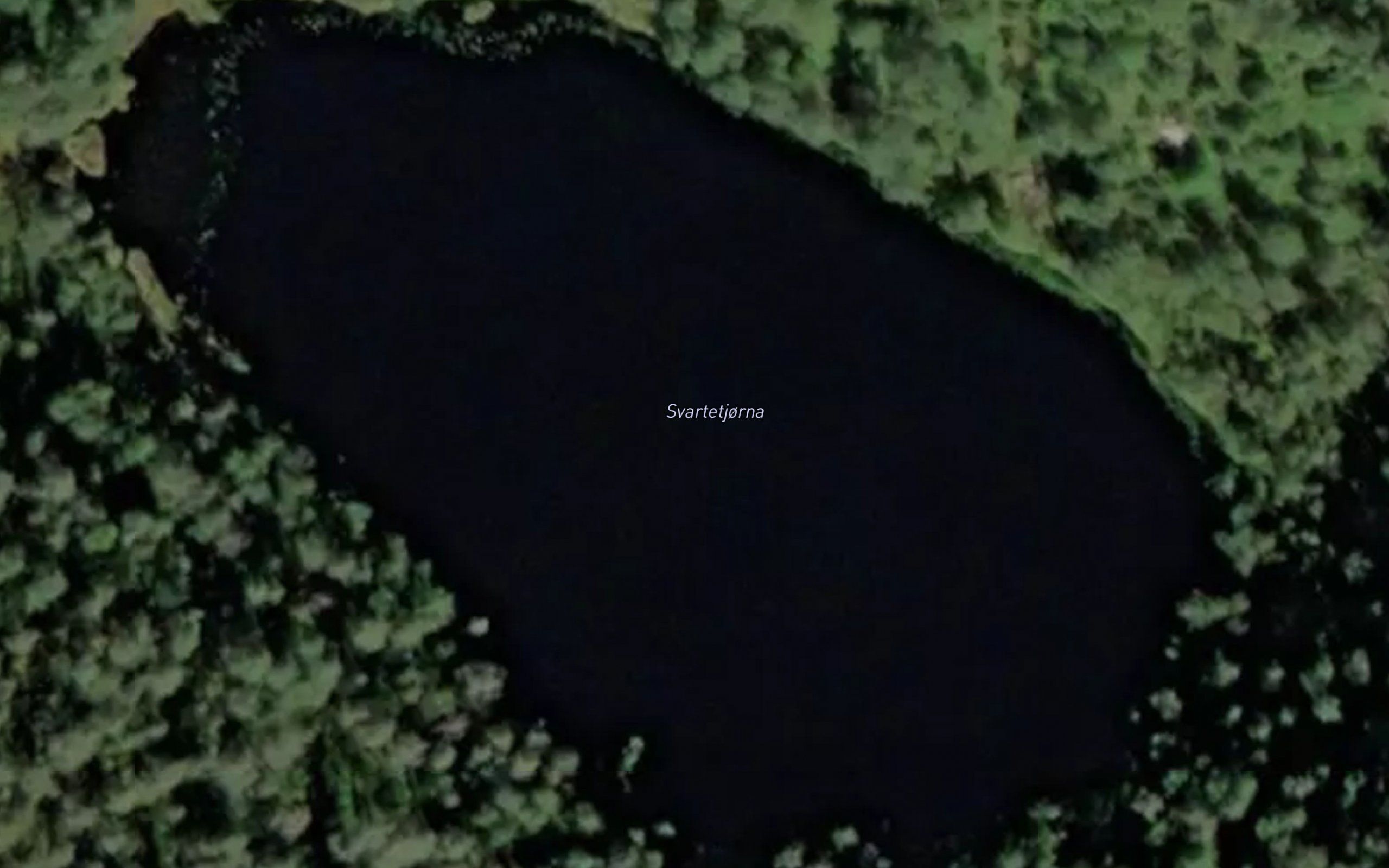 Svartetjorn