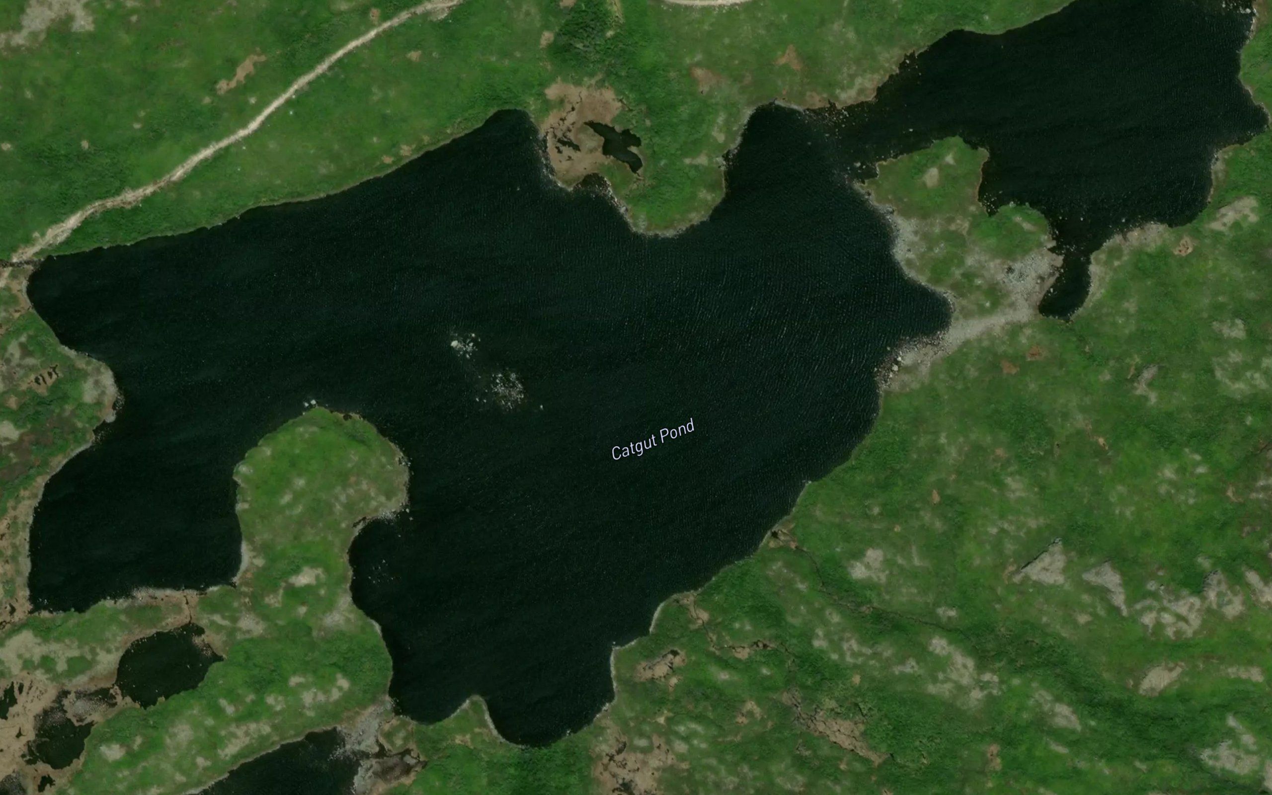 Catgut Pond