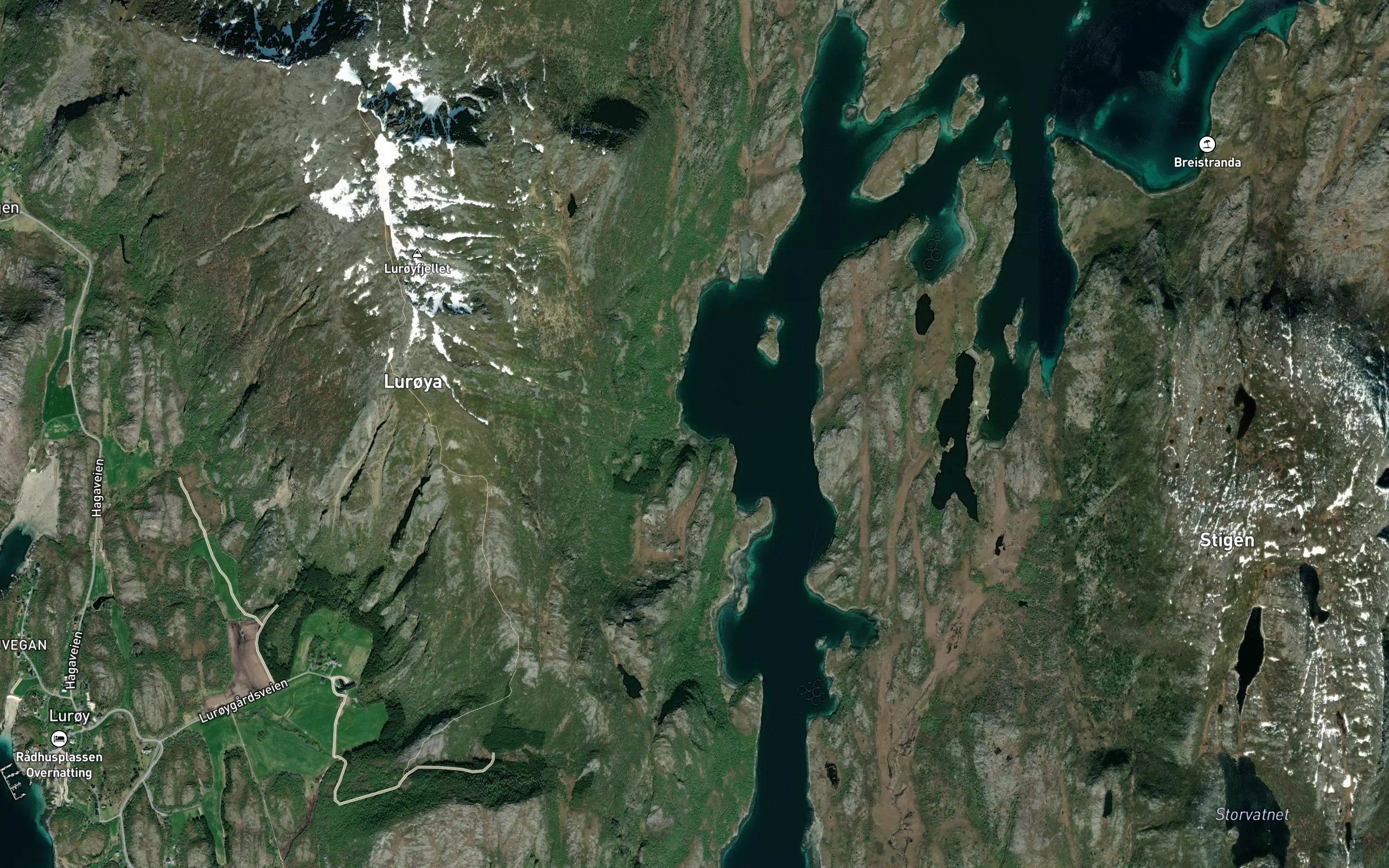Trollvika