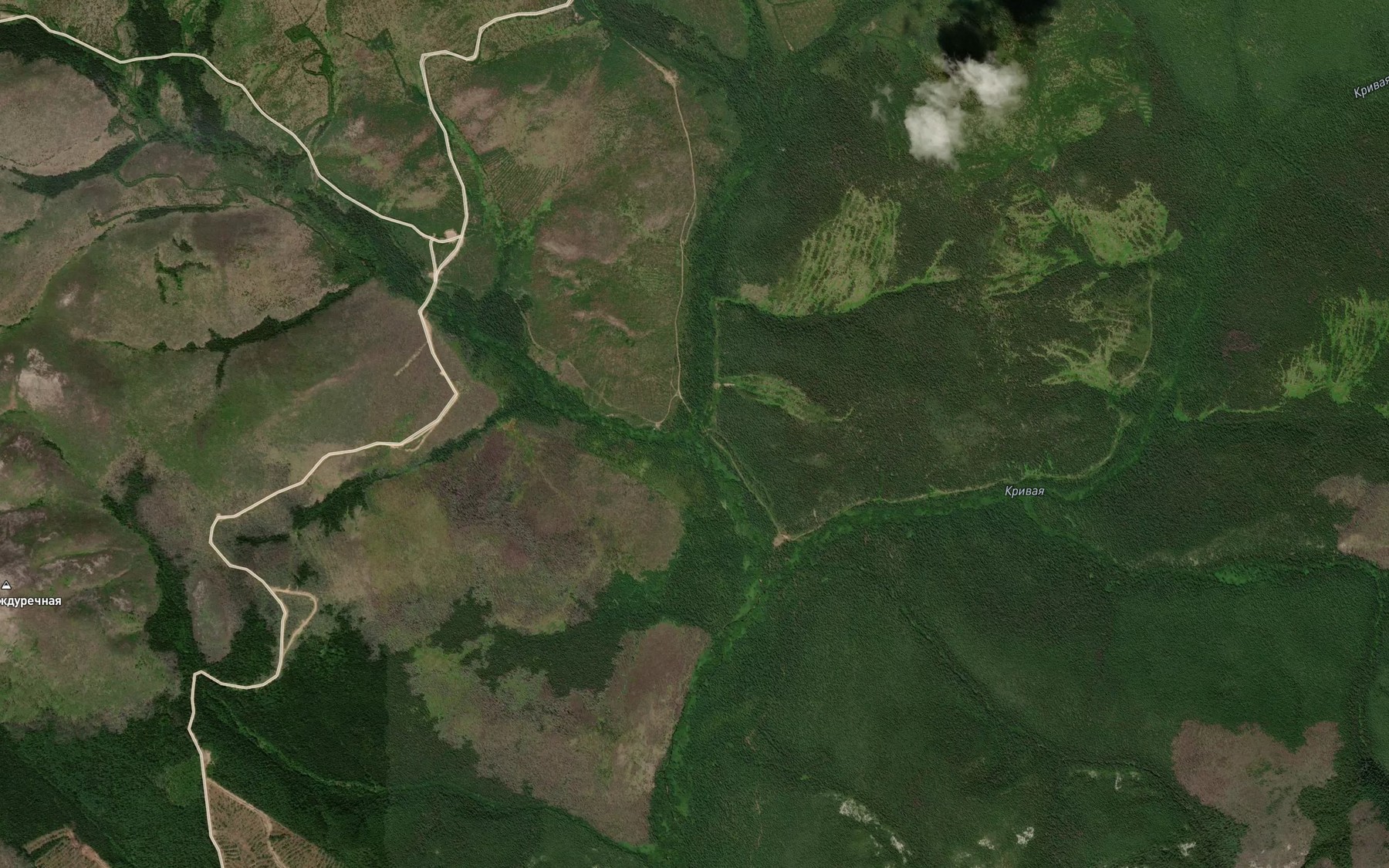 Satellite map of the Levyy Pikhtach