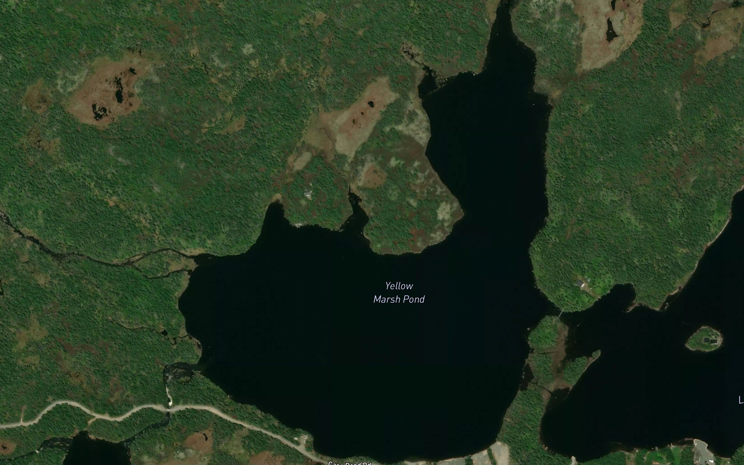 Yellow Marsh Pond