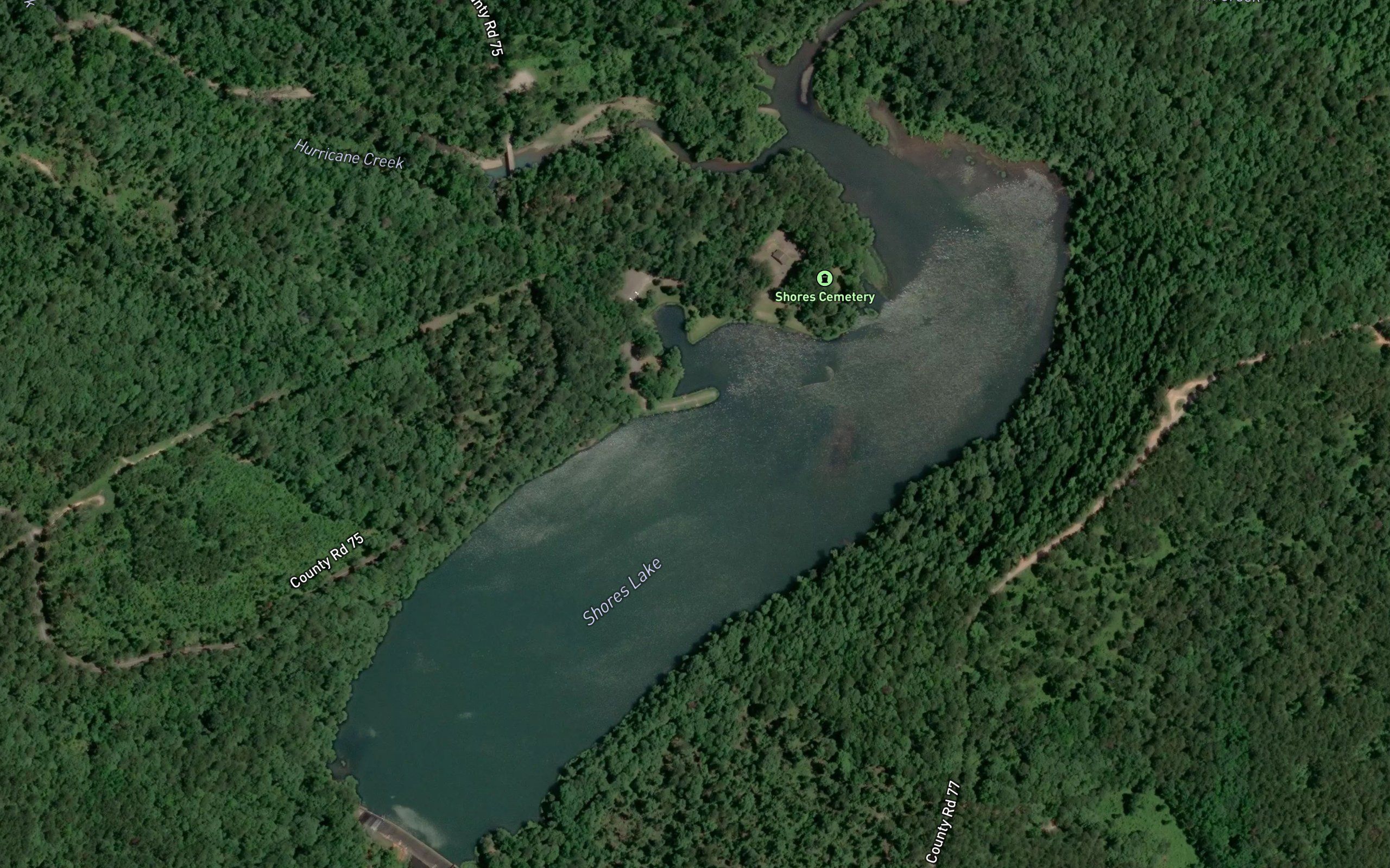 Shores Lake