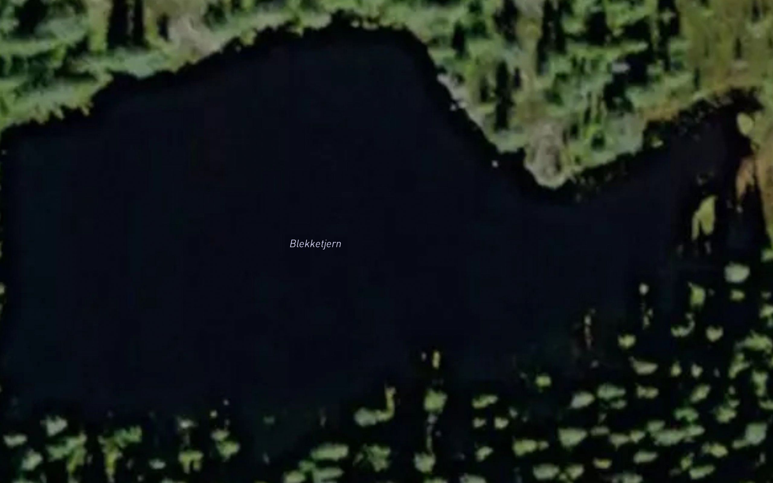 Blekketjern