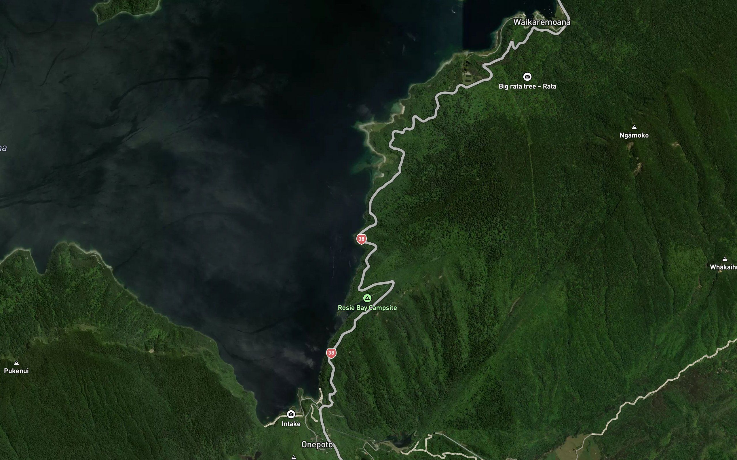 Awaawaroa Stream