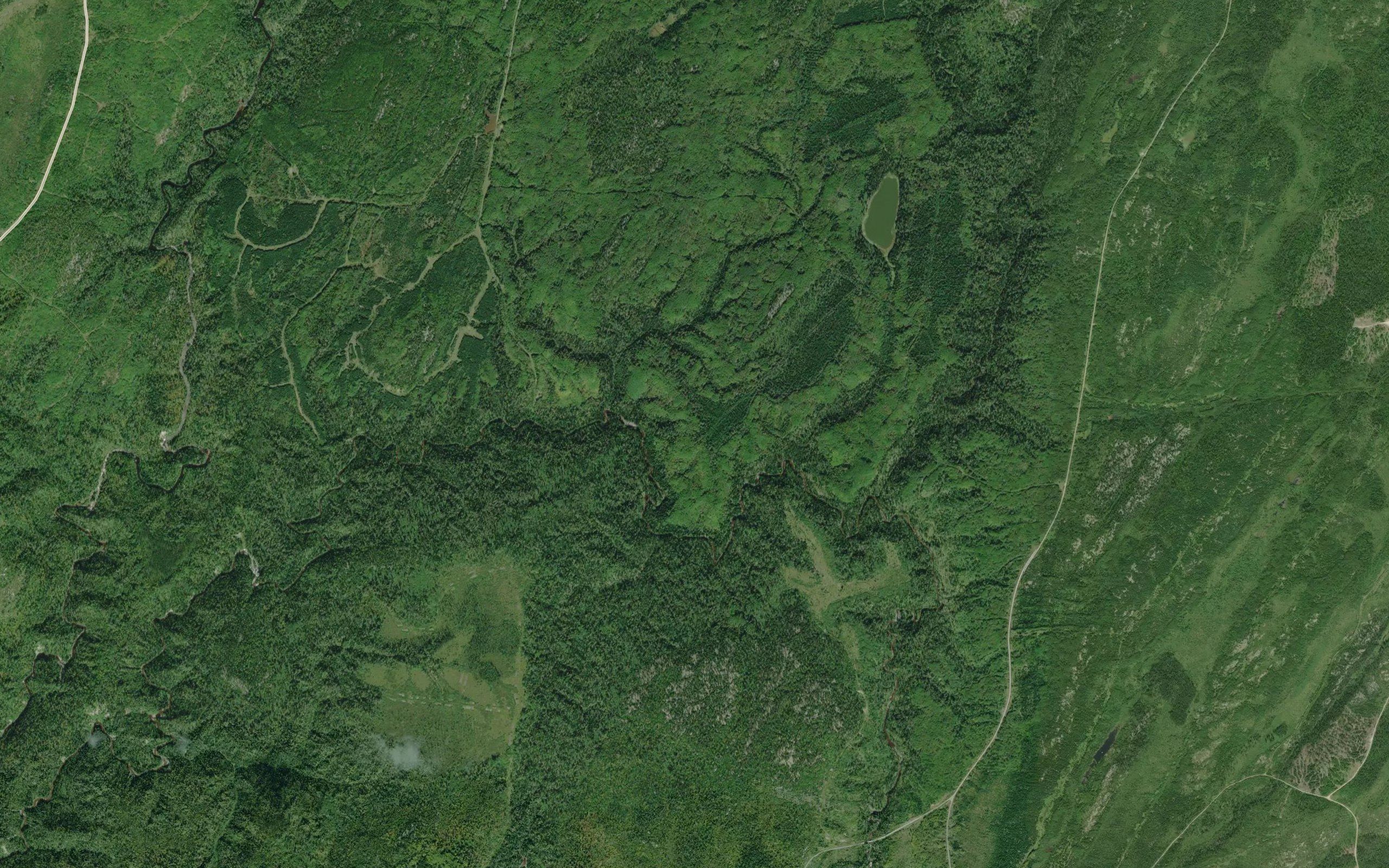 Rudder Creek