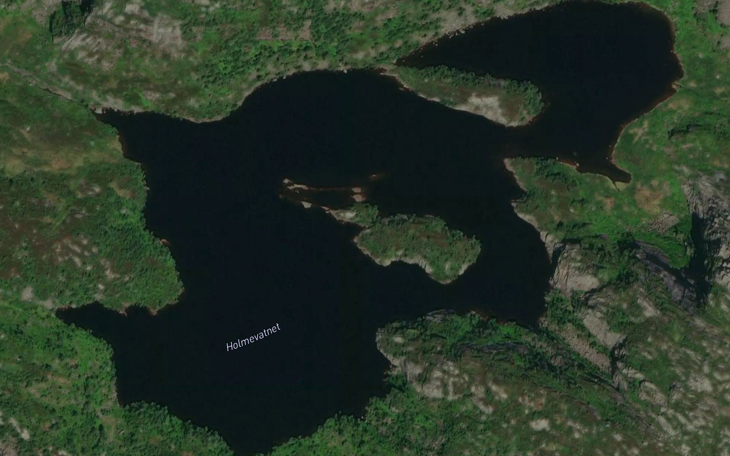 Holmevatnet