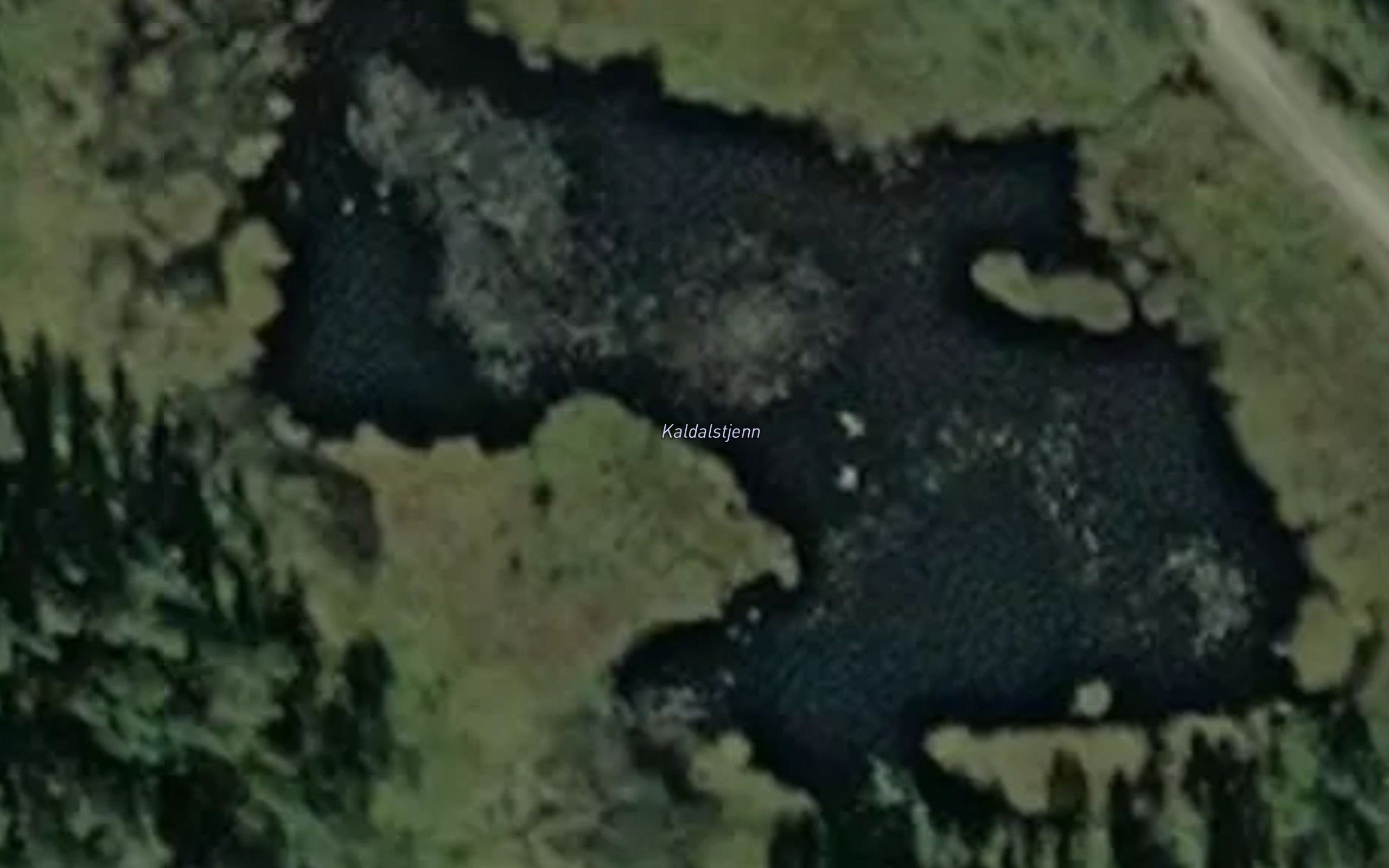 Kaldalstjenn