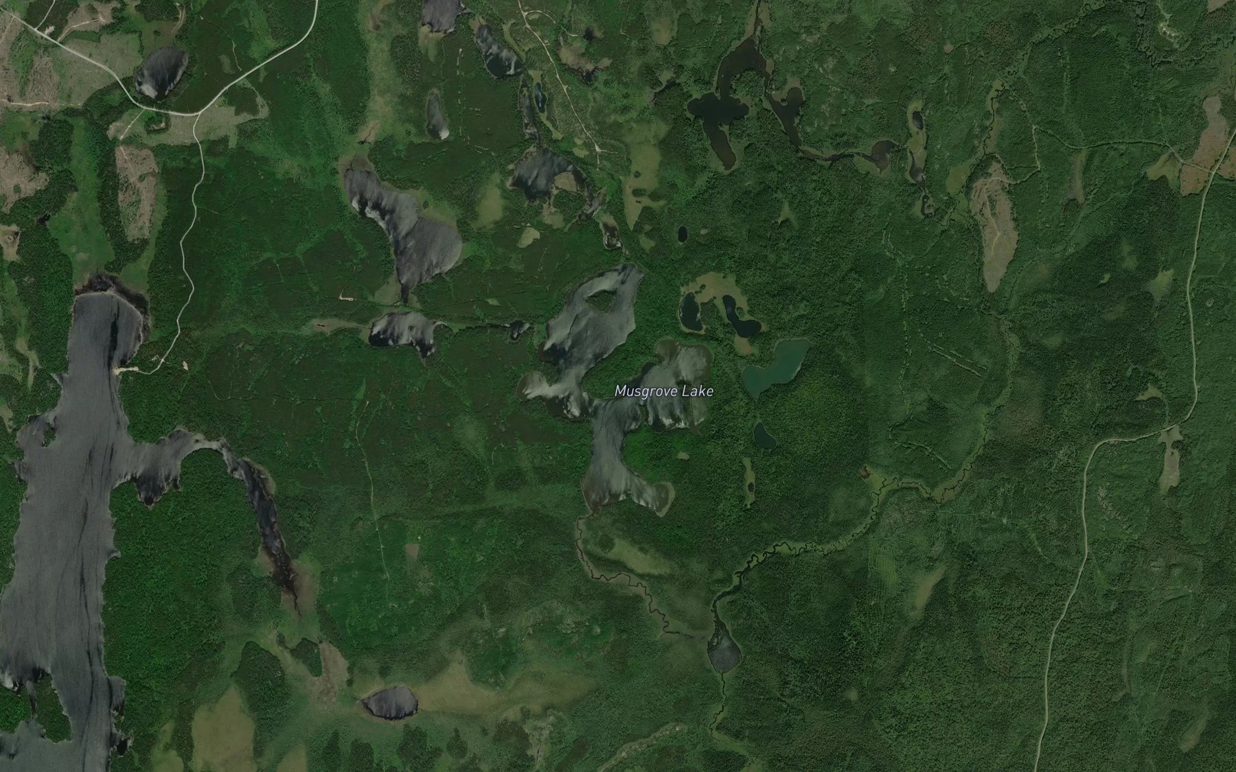 Satellite map of the Musgrove Lake