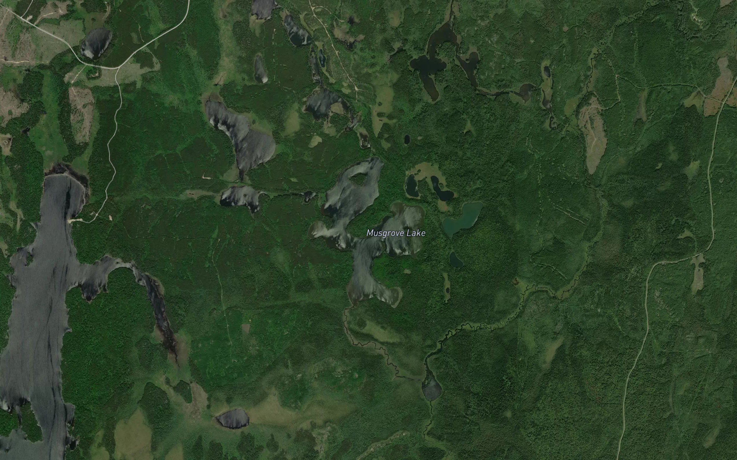 Musgrove Lake