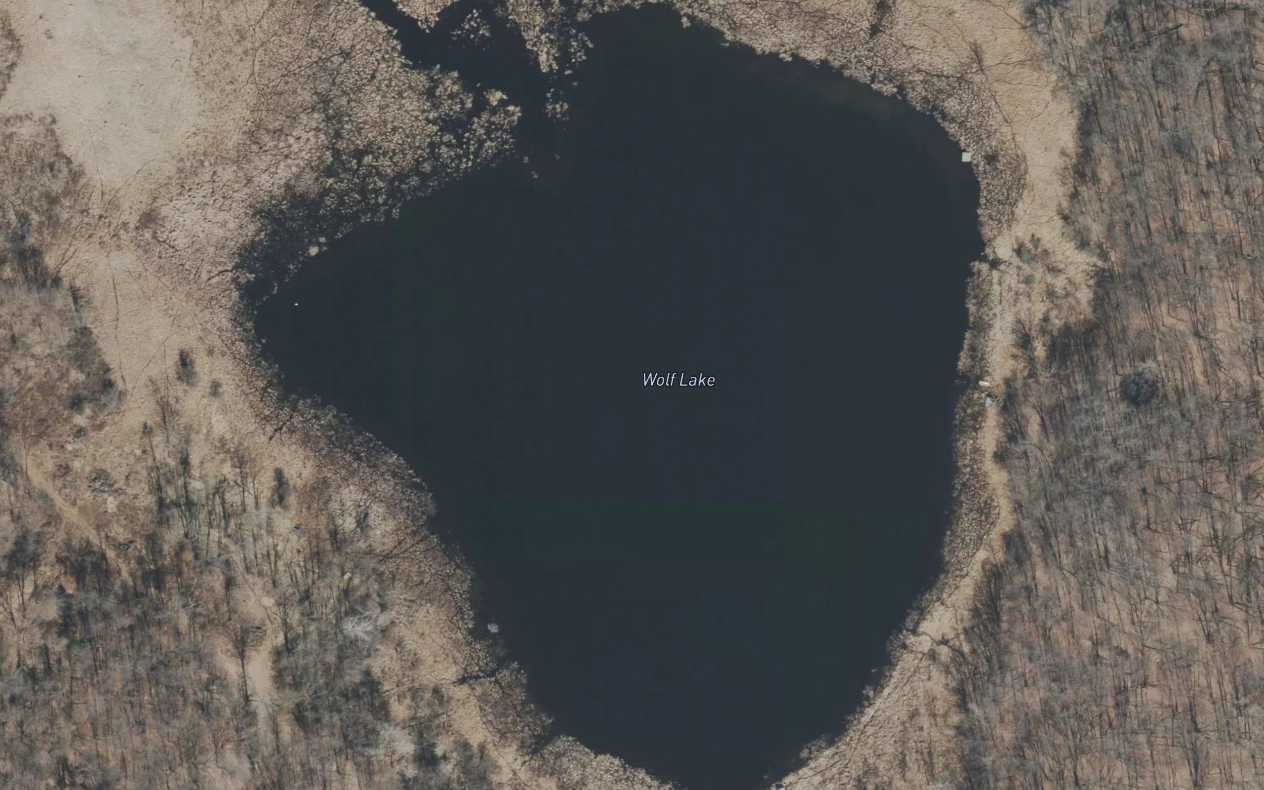 Wolf Lake