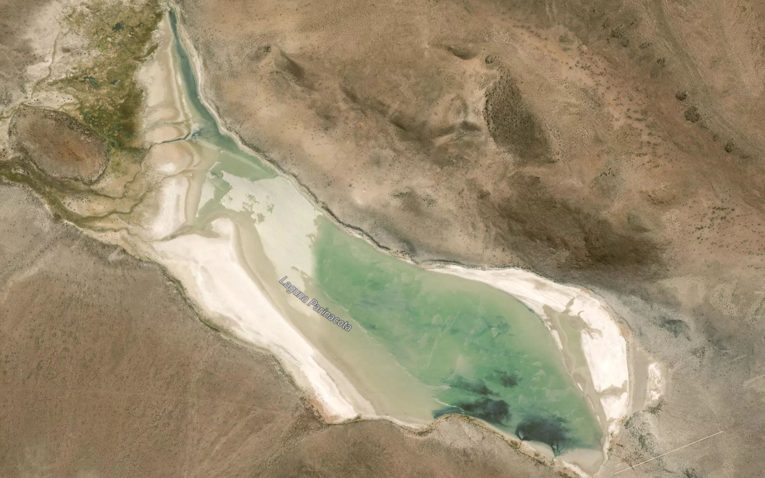 Laguna Parinacota