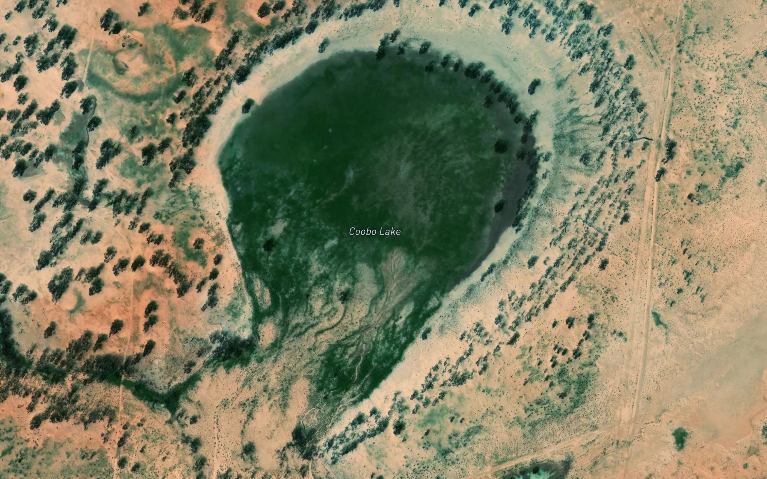 Coobo Lake