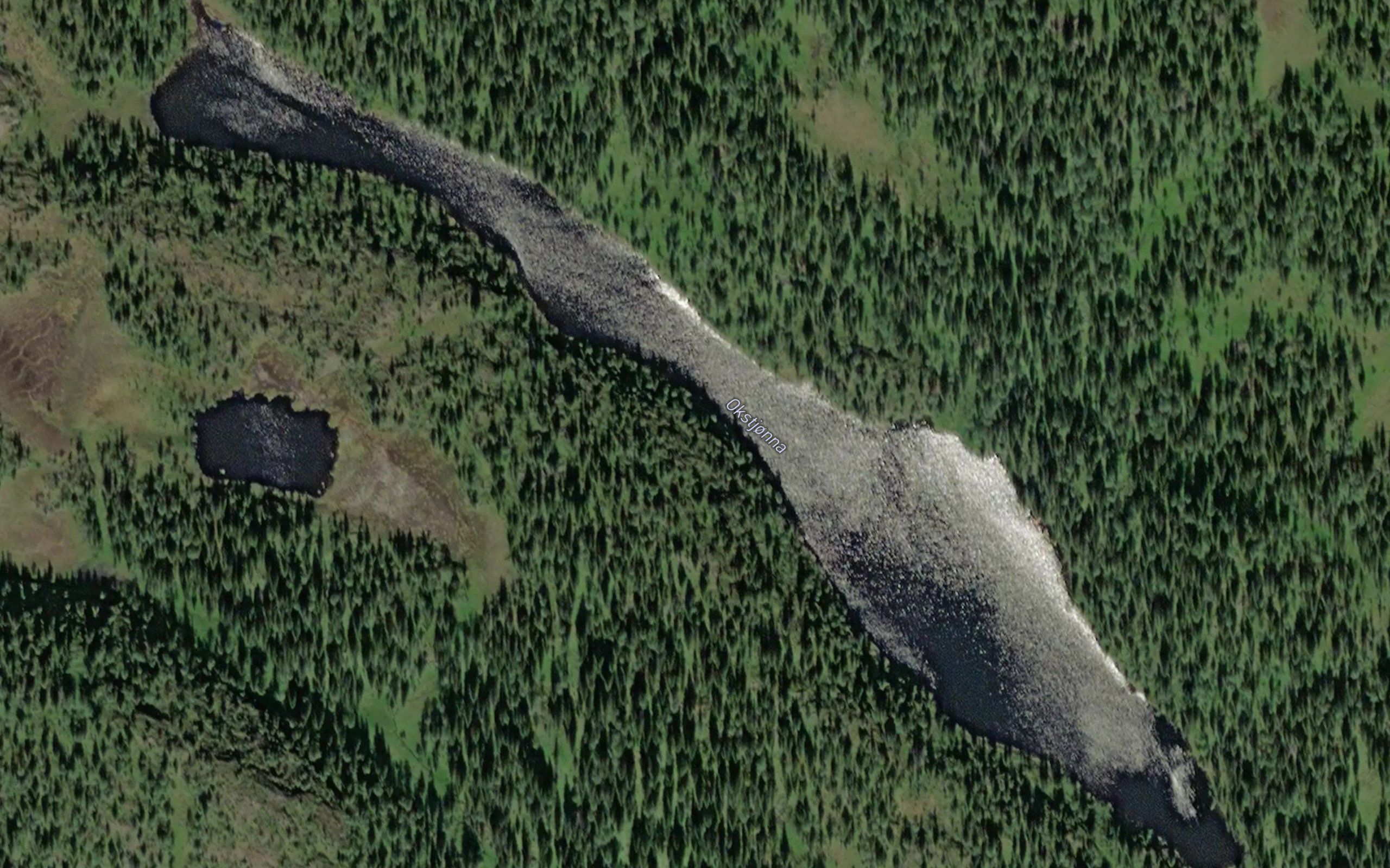 Okstjorna