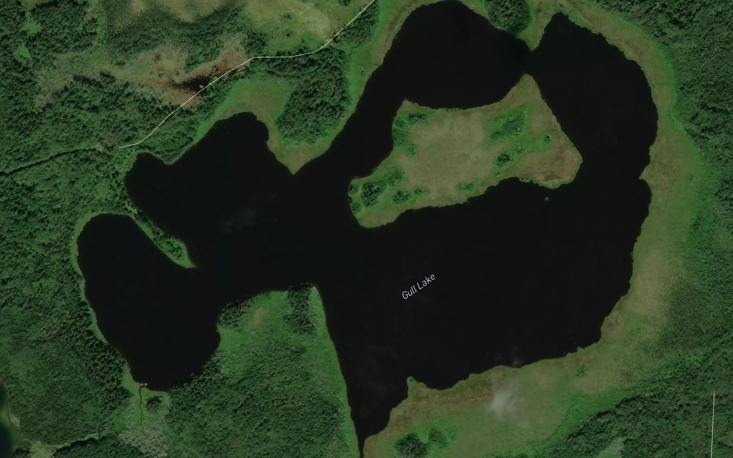 Gull Lake