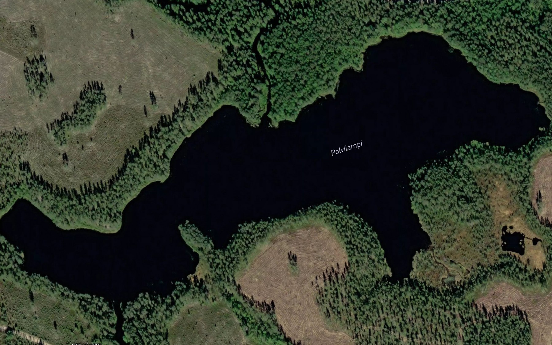 Satellite map of the Polvilampi