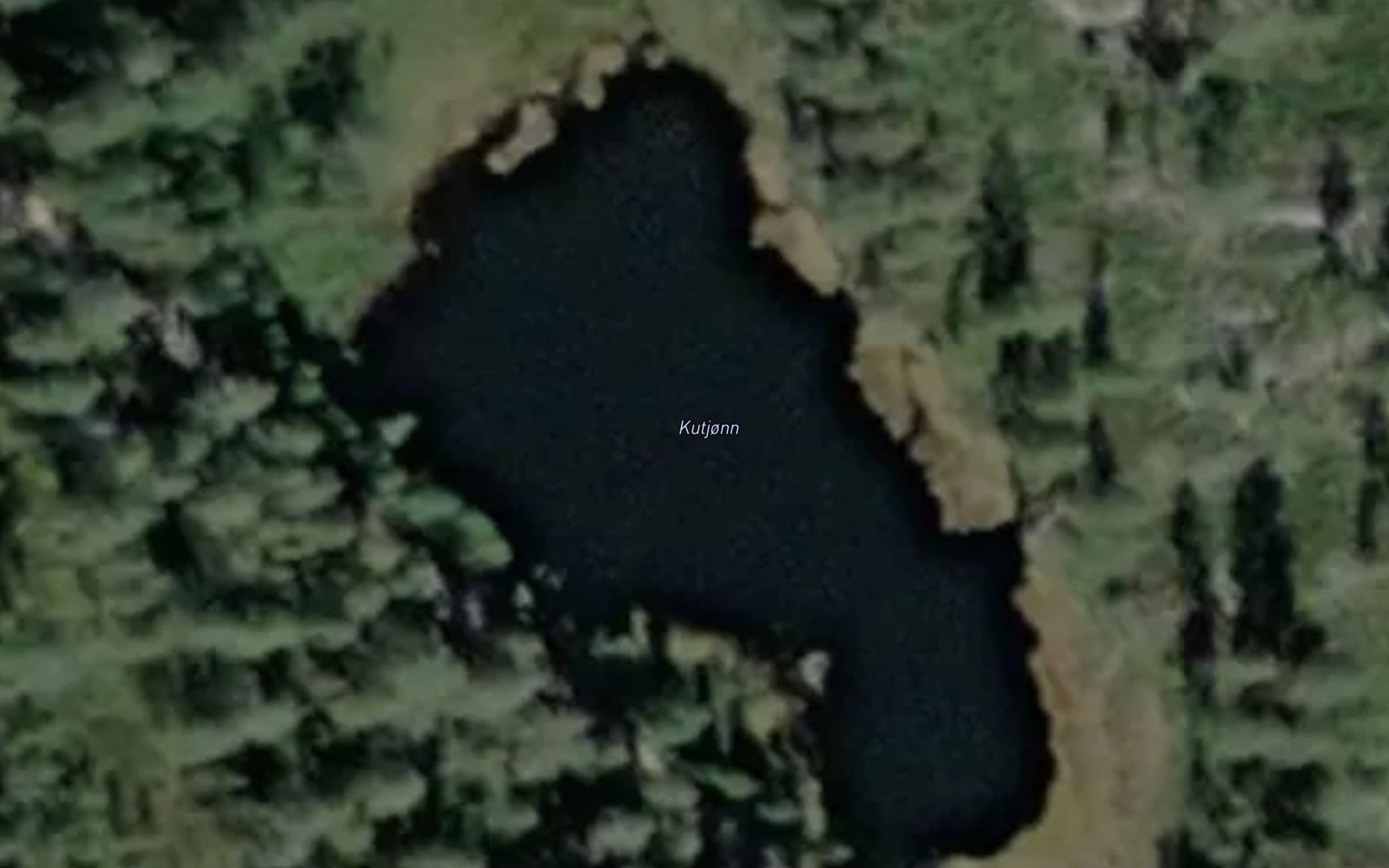 Kutjonn