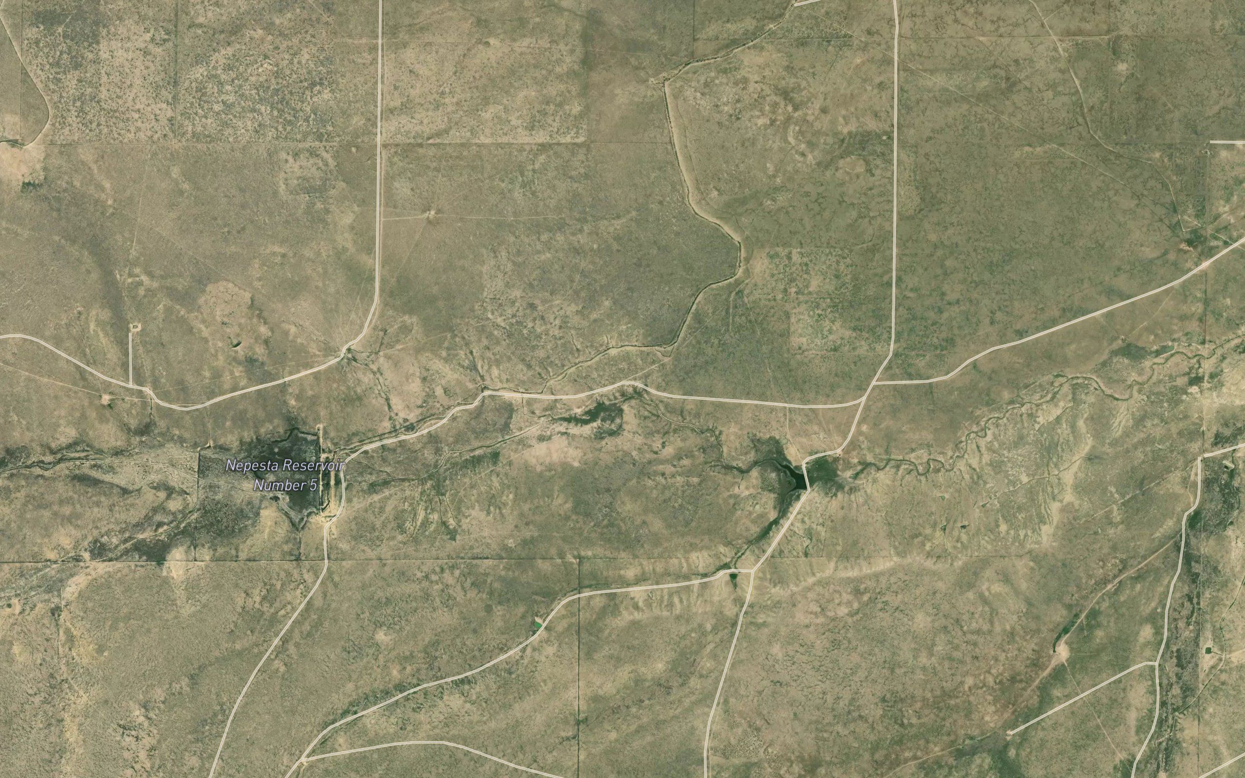Nepesta Ditch
