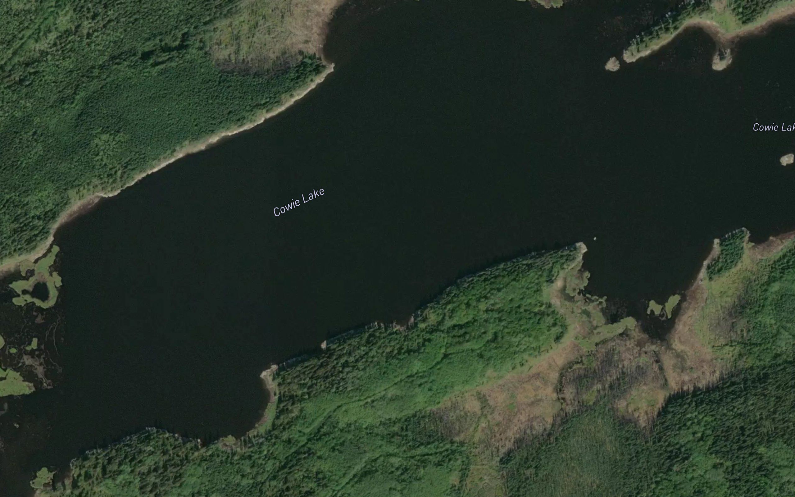 Cowie Lake