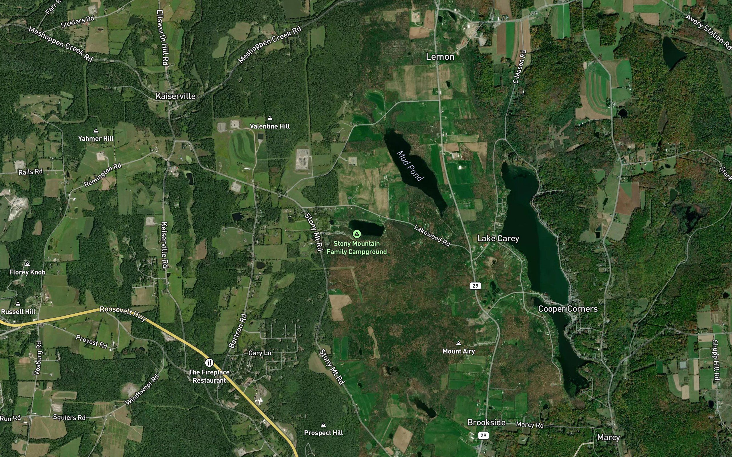 Bartron Pond