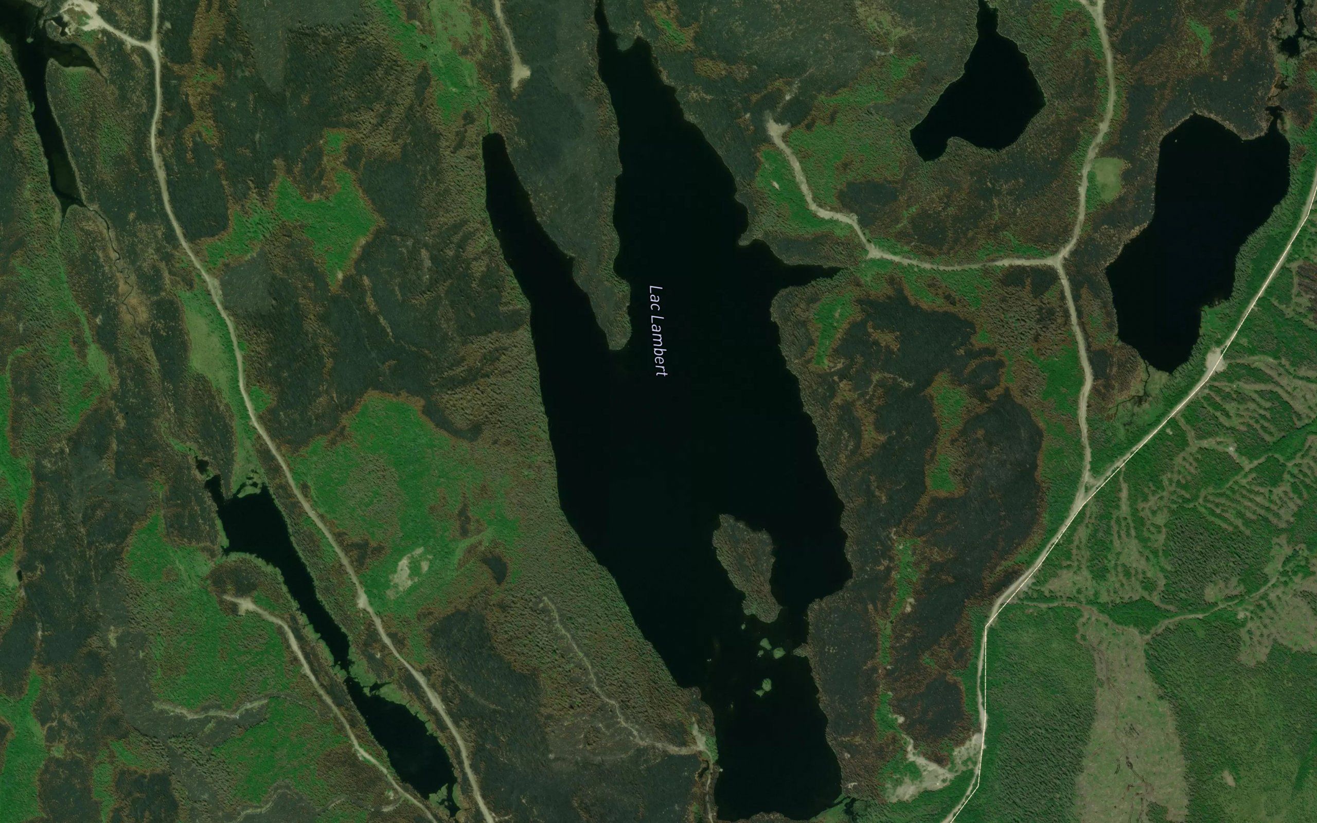 Lac Lambert