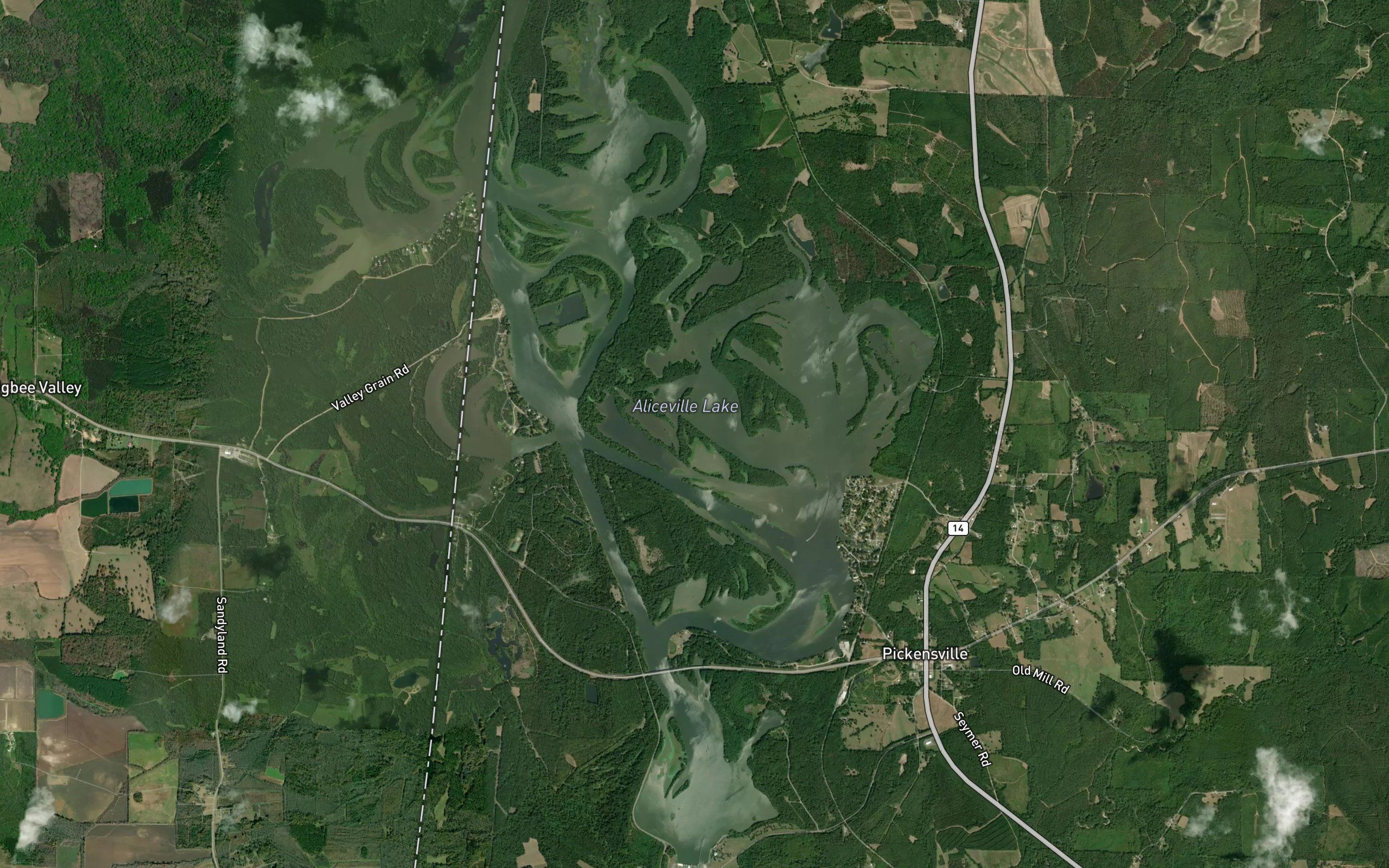 Aliceville Lake