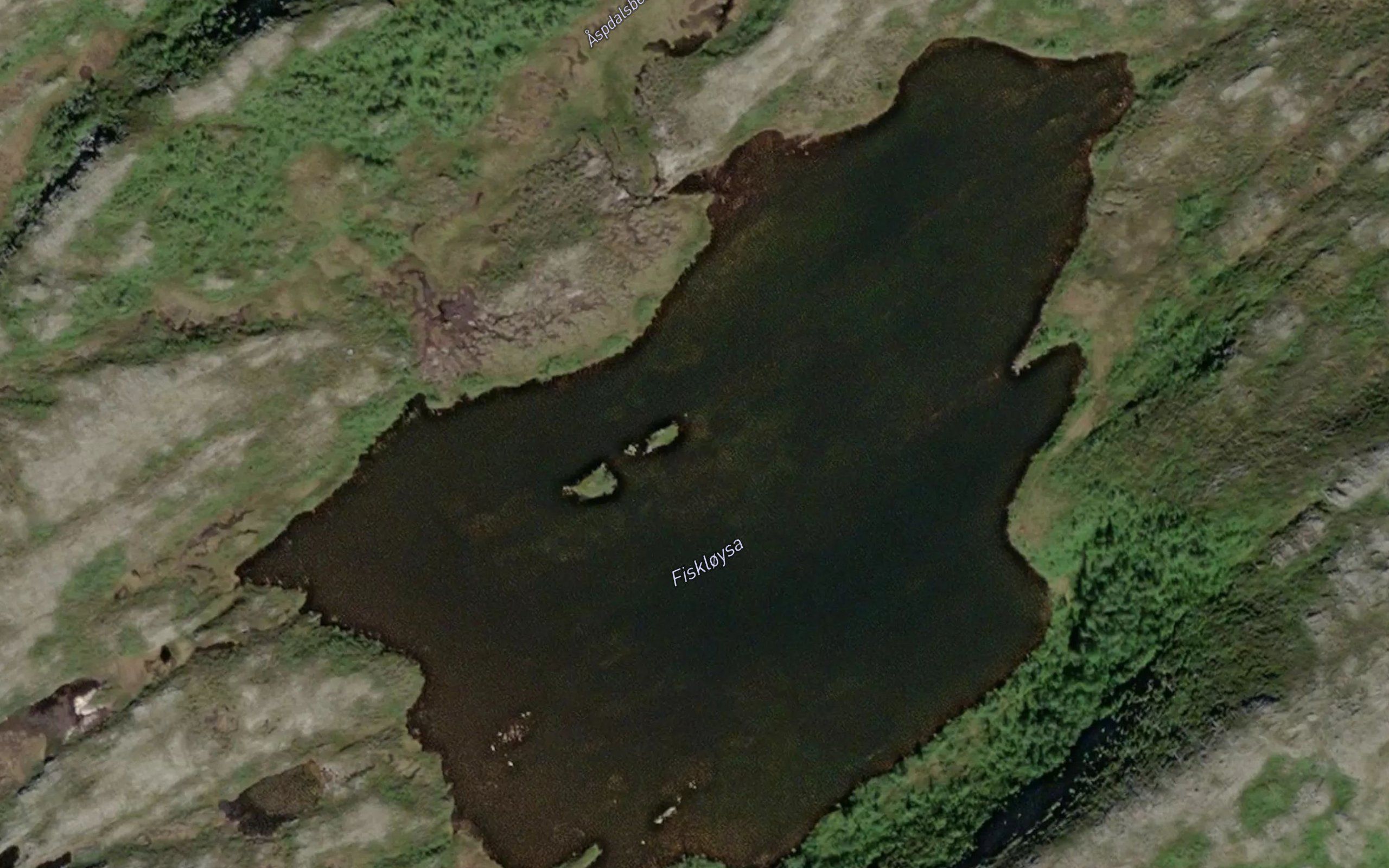 Fiskloysa