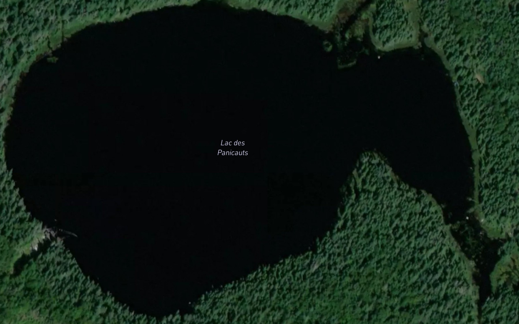 Satellite map of the Lac des Panicauts