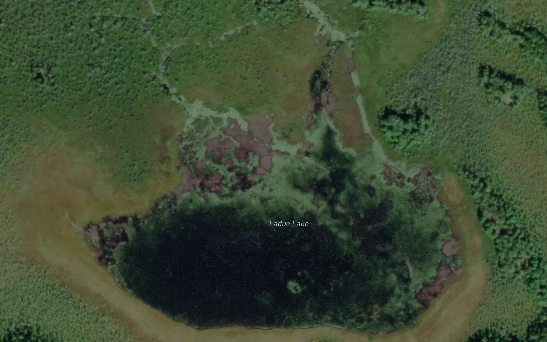 Satellite map of the Ladue Lake