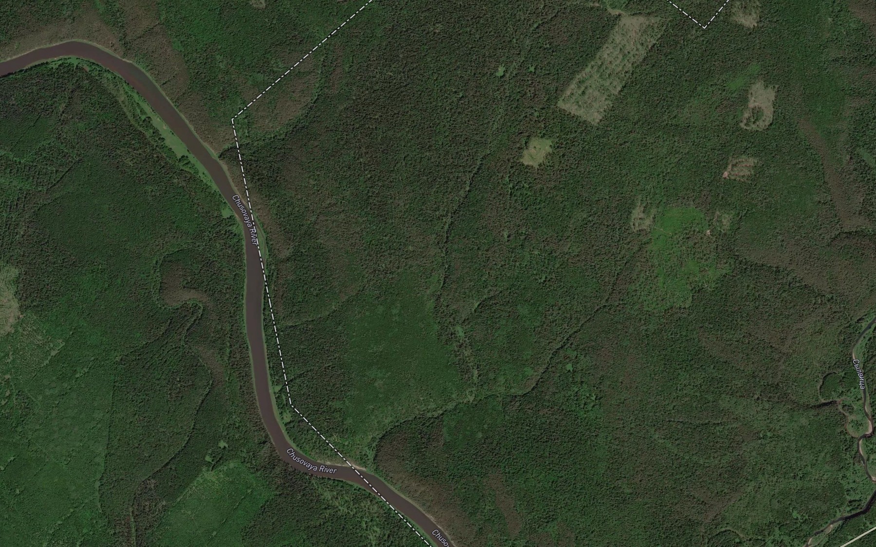 Satellite map of the Dolgovka
