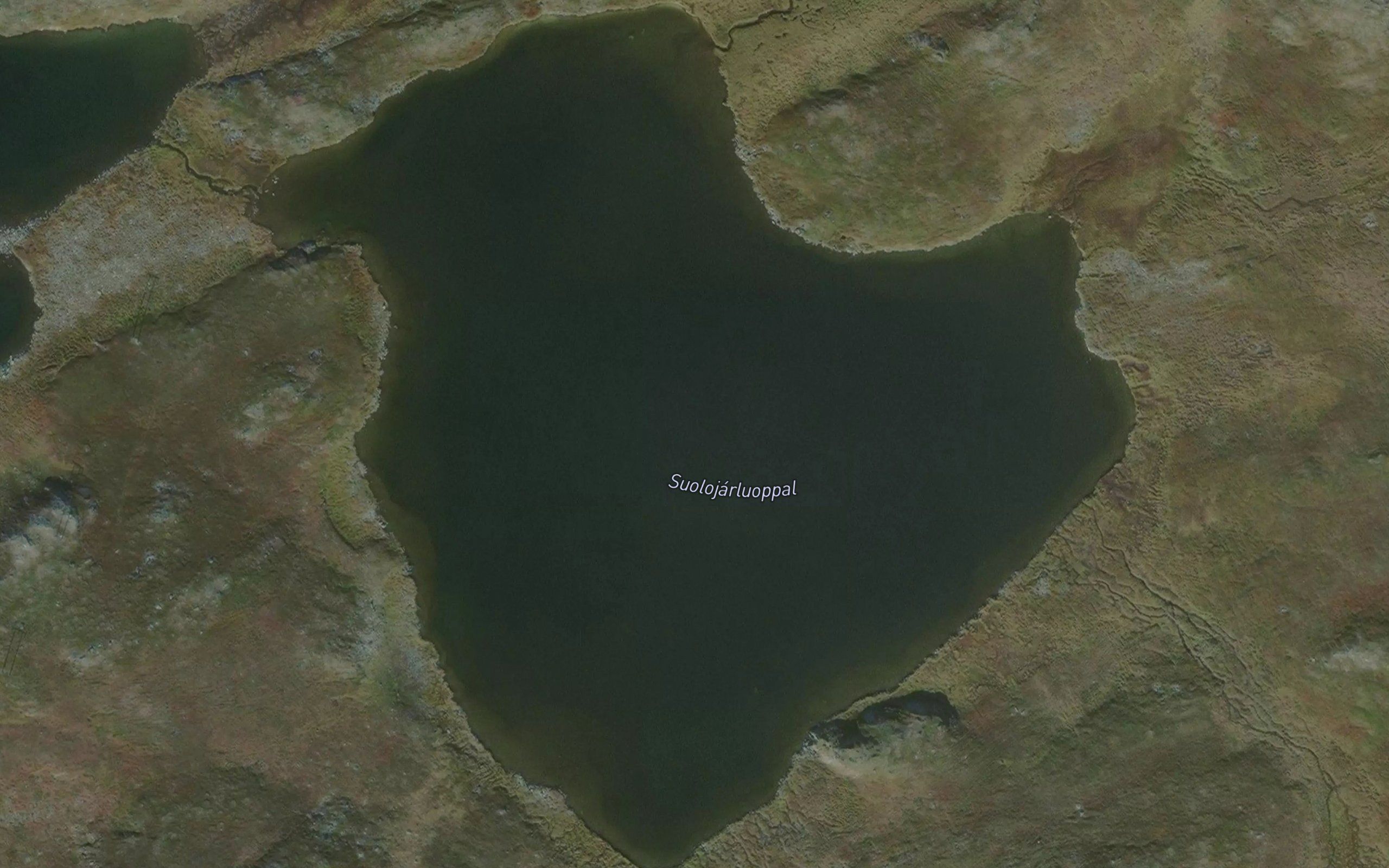 Suolujarluobbal