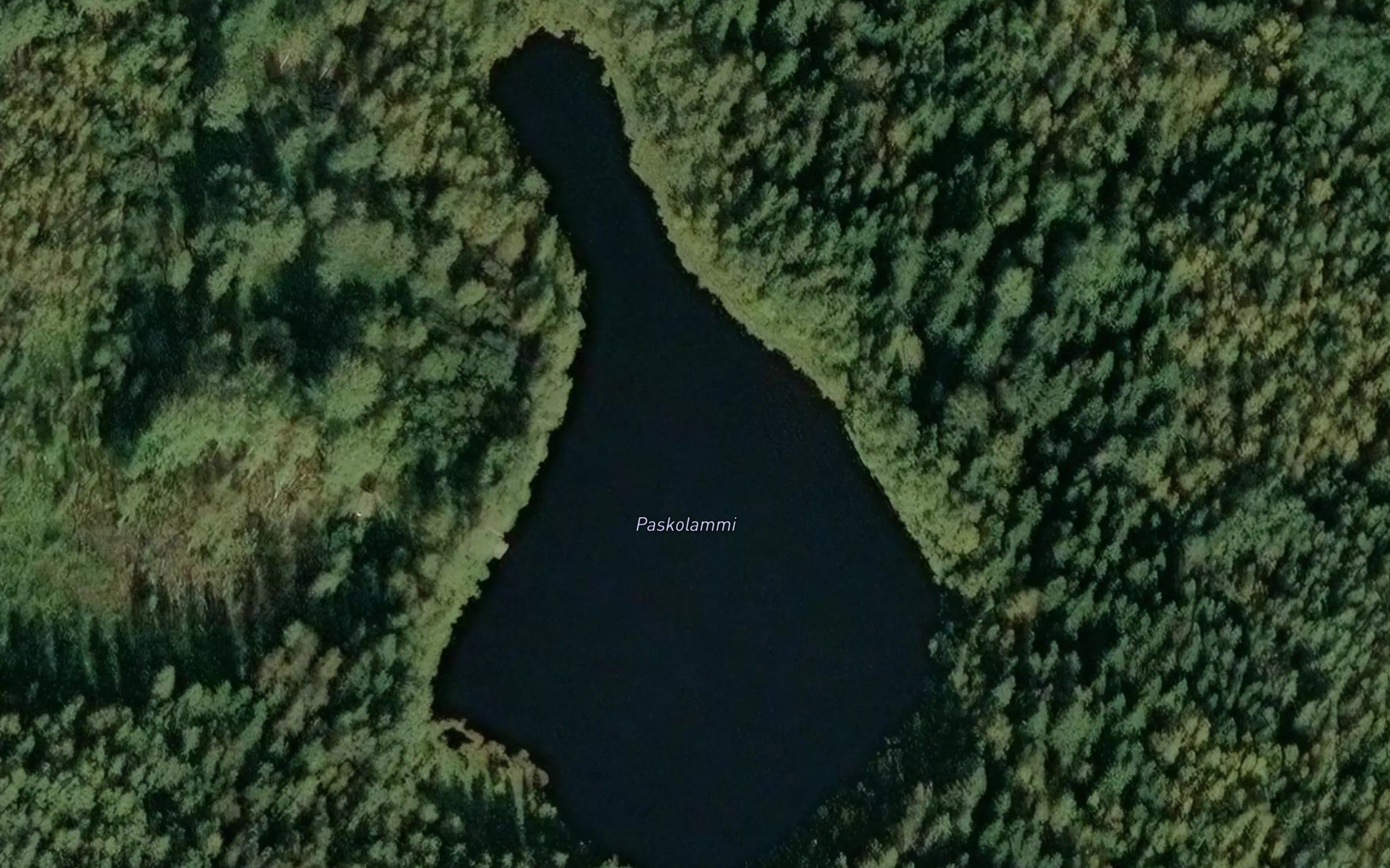 Paskolammi