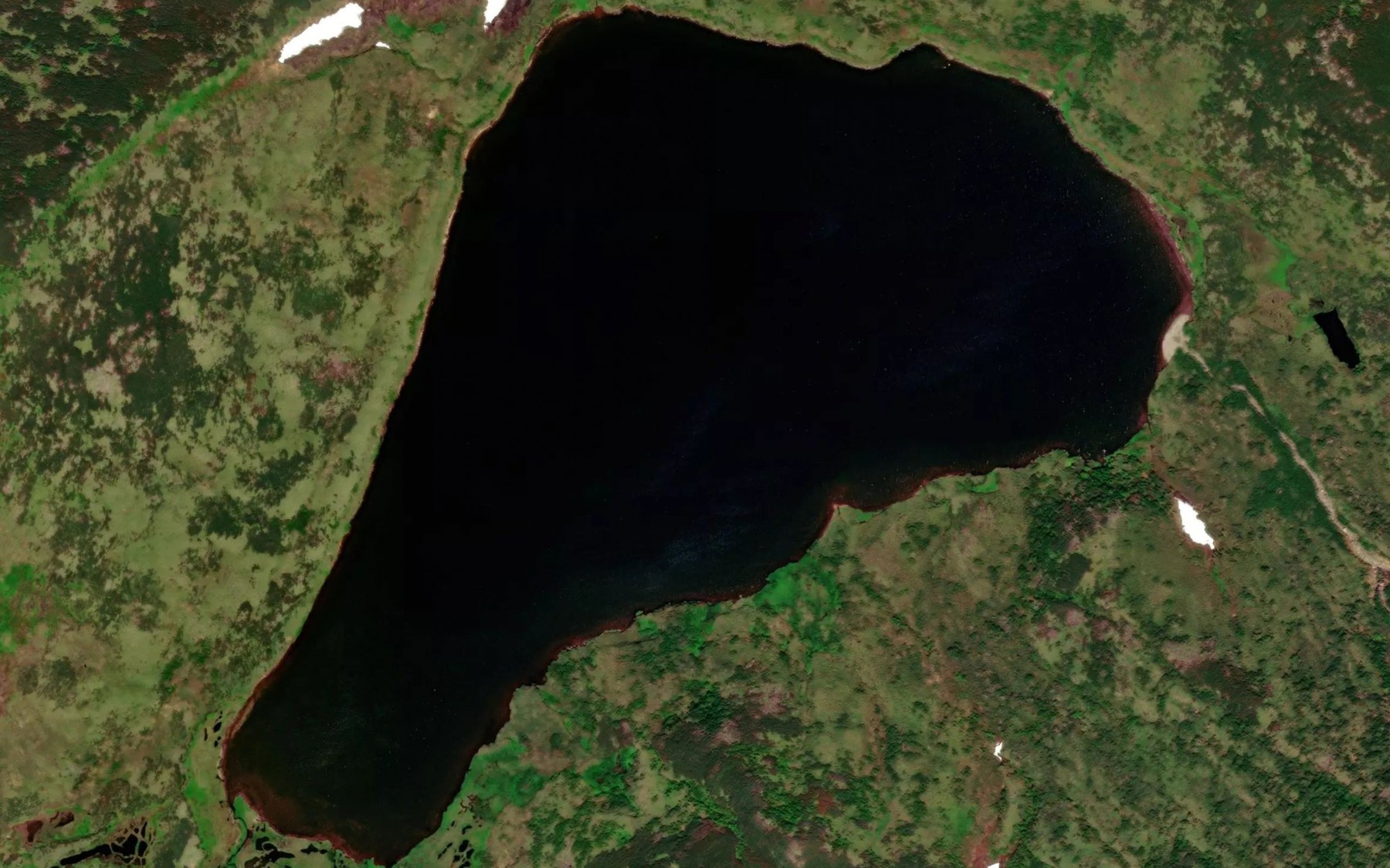 Satellite map of the Ozero Kupal'noye