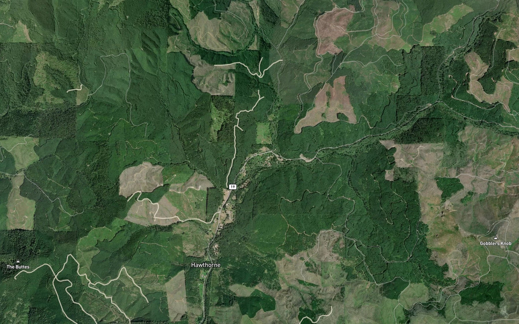 Satellite map of the Coon Creek
