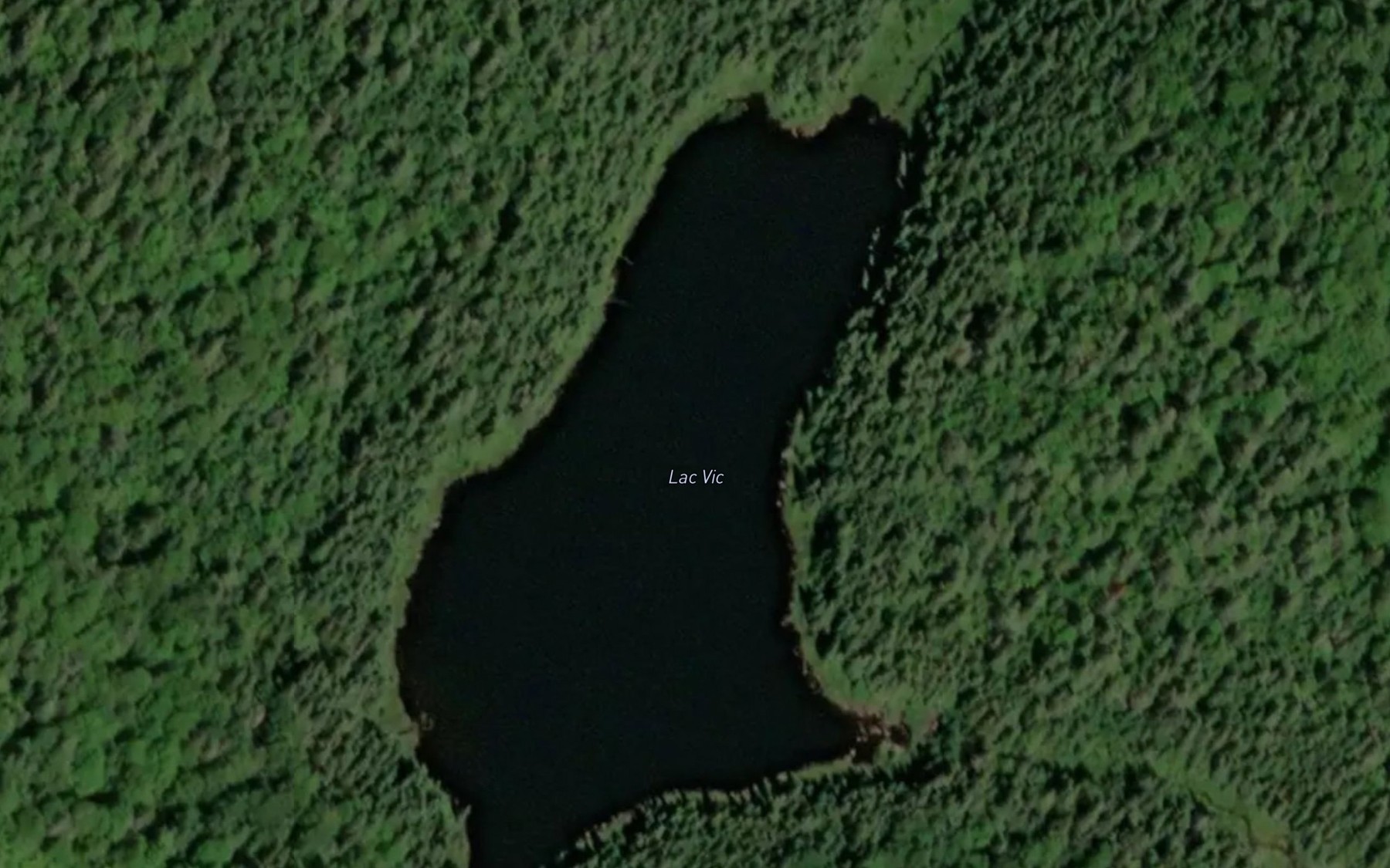 Satellite map of the Lac Vic