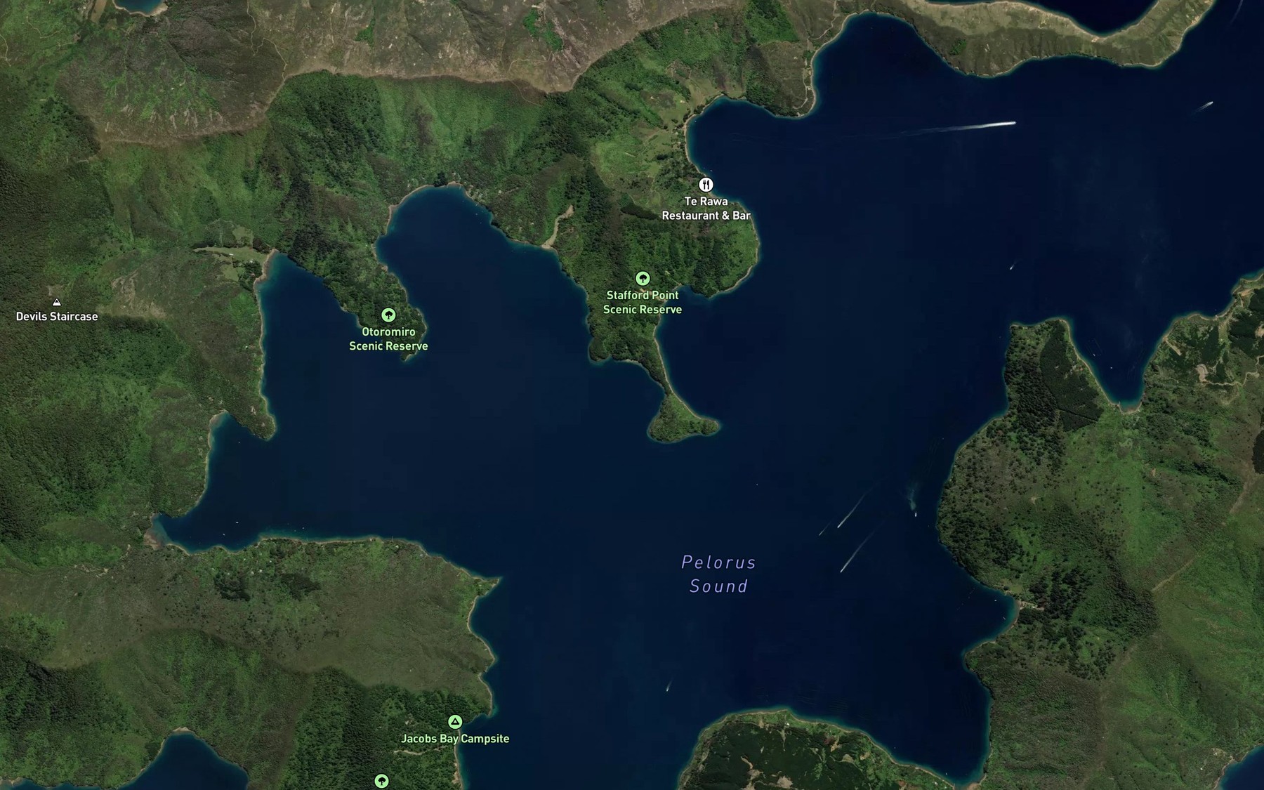 Satellite map of the Pelorus Sound