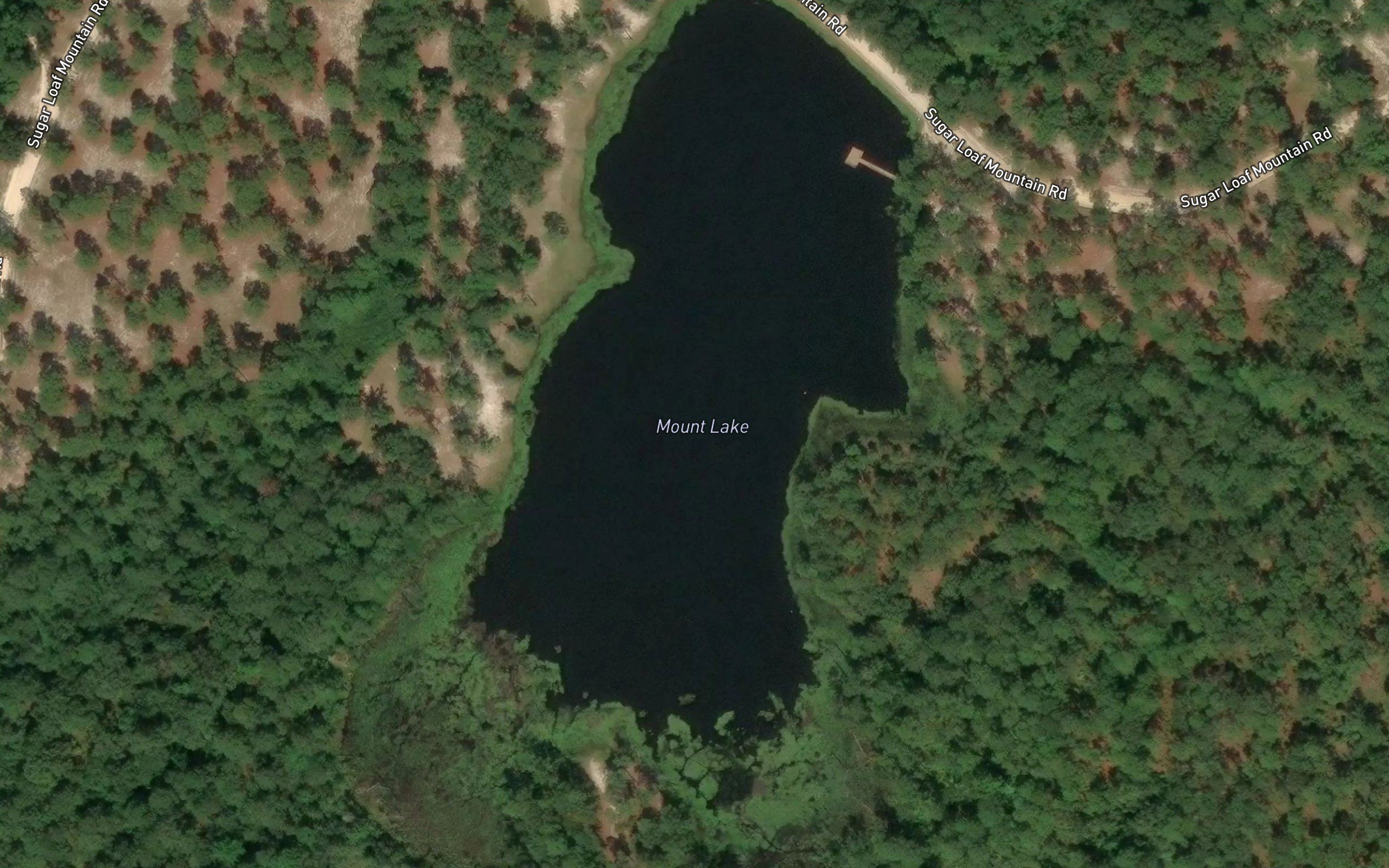 Mount Lake