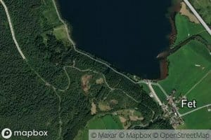 Svartegrova