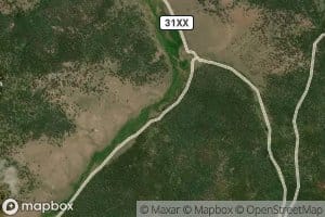 Wild Dog Creek