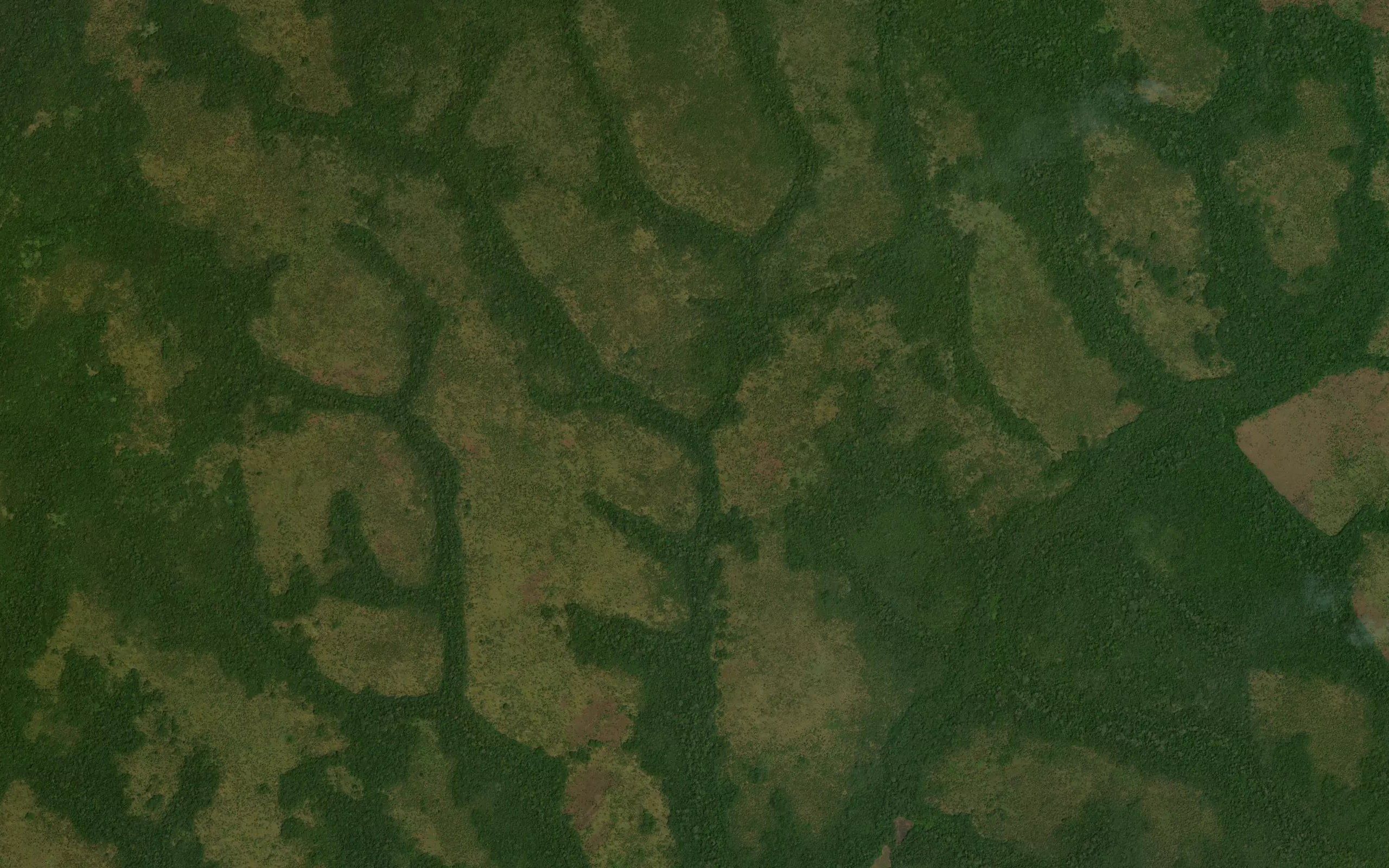 Nagbamu