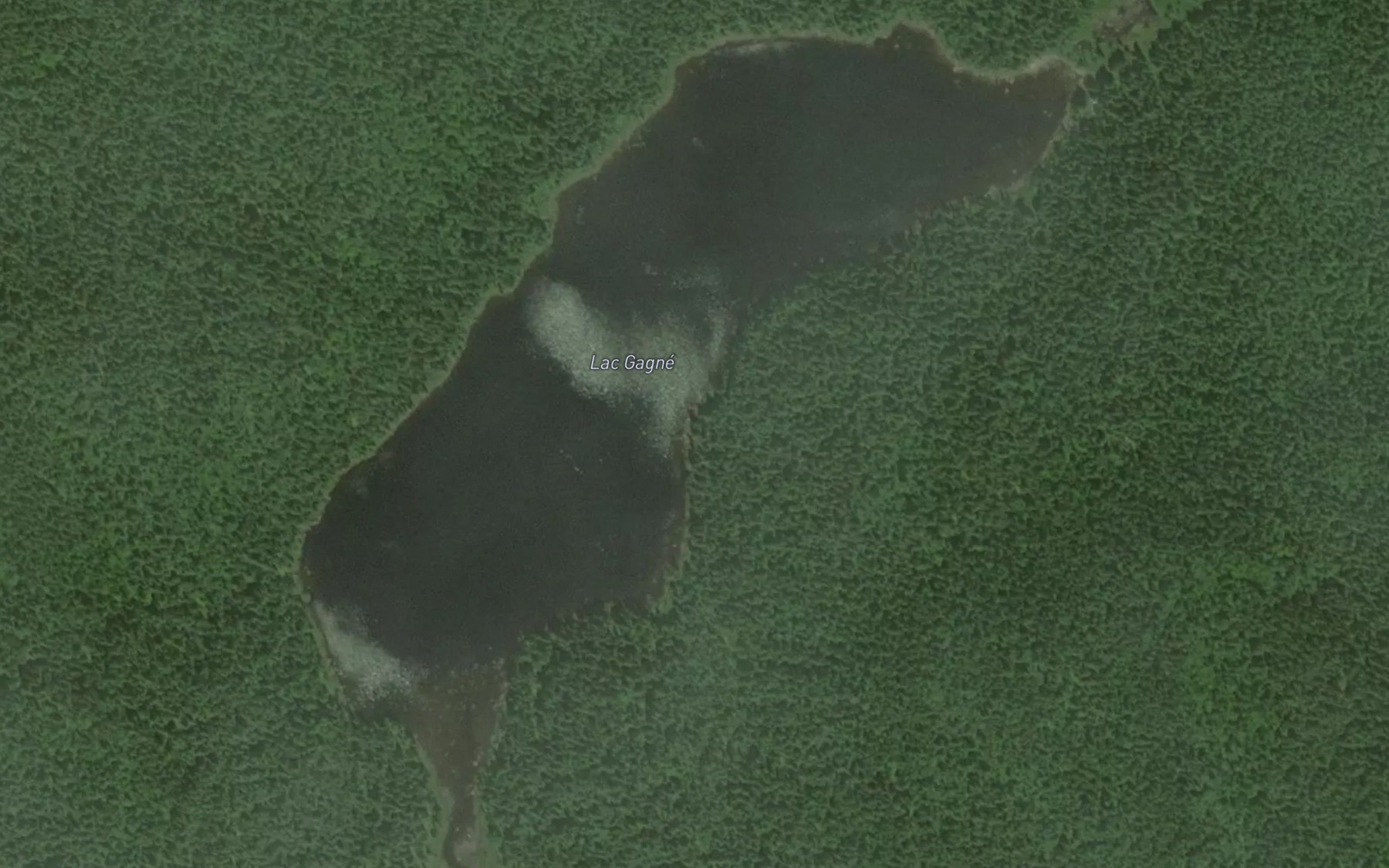 Satellite map of the Lac Gagne