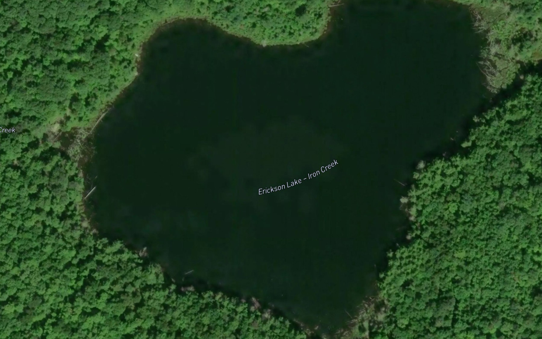 Satellite map of the Erickson Lake