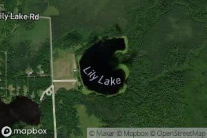 Lily Lake