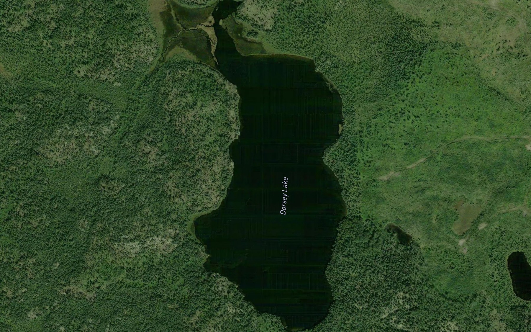 Satellite map of the Dorsey Lake