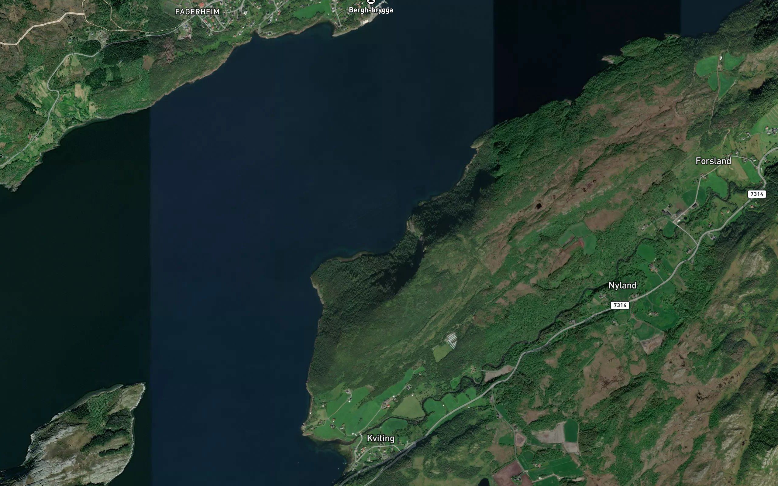 Skogvikja