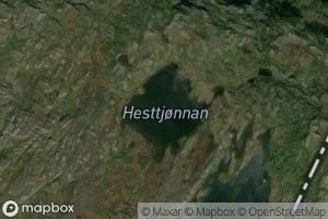 Hesttjonnan