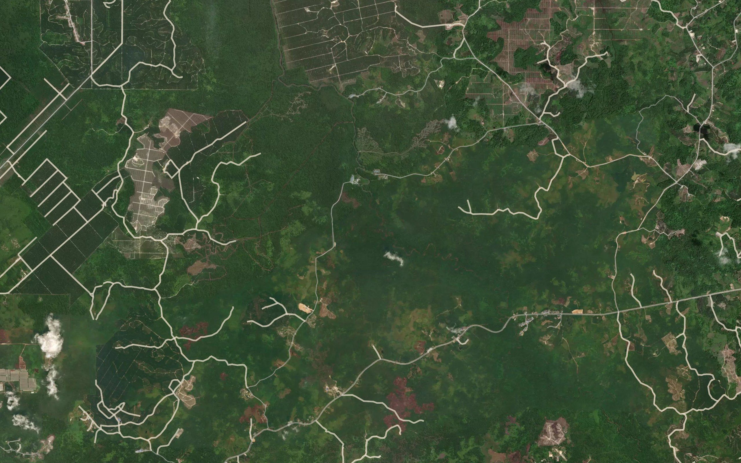 Sungai Nyaru