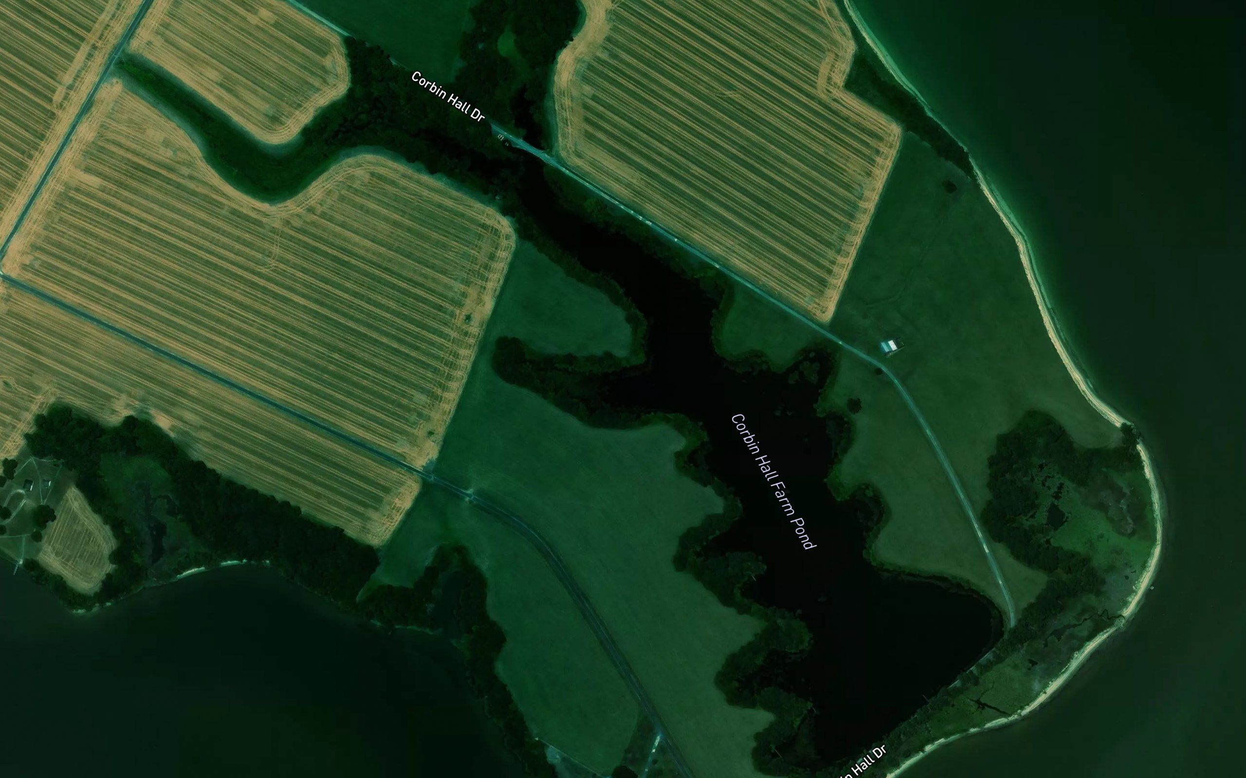 Corbin Hall Farm Pond