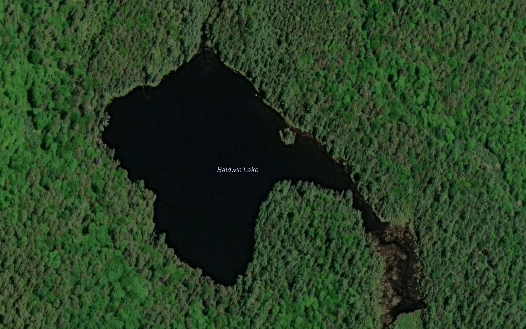 Satellite map of the Baldwin Lake